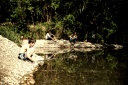 Un dimanche au bord de l'eau