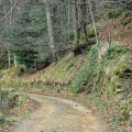 Chemin faisant