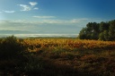 Vignoble sur les hauteurs de Lablachère (07)