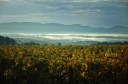 Vignoble sur les hauteurs de Lablachère (07)