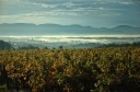 Vignoble sur les hauteurs de Lablachère (07)