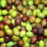 Olives