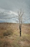 Paysages